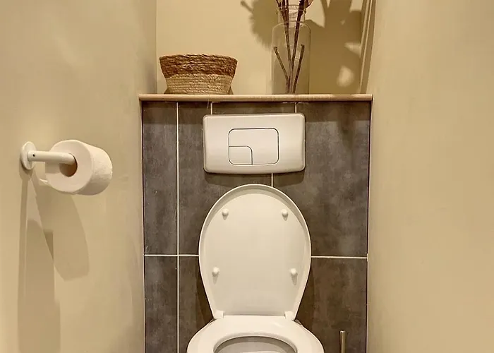 Designer Townhouse With 2 Stunning Terraces * Lafrançaise